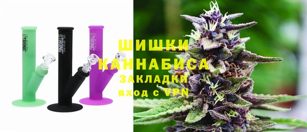 прущие грибы Бежецк