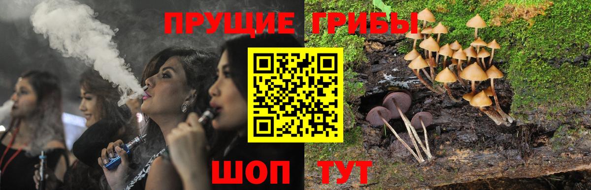 Галлюциногенные грибы Psilocybine cubensis Дивногорск