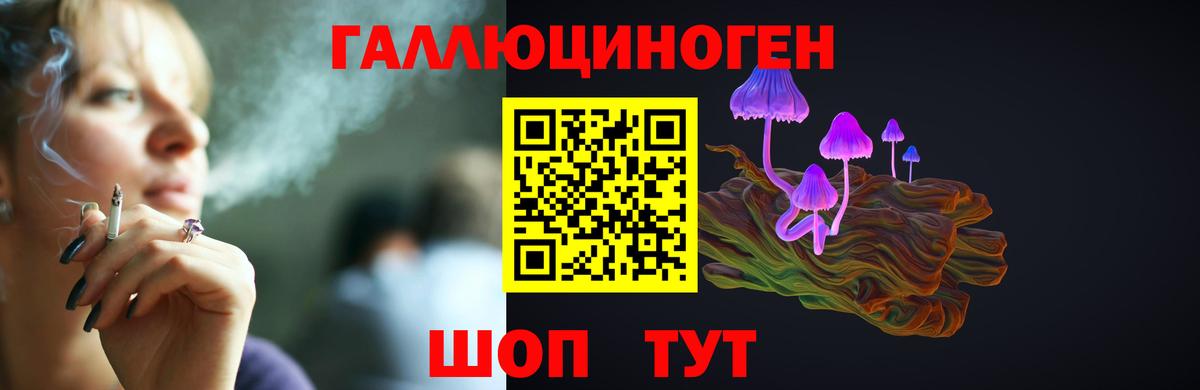 Дивногорск  где продают наркотики  Вход с VPN  Псилоцибиновые грибы ЛСД 